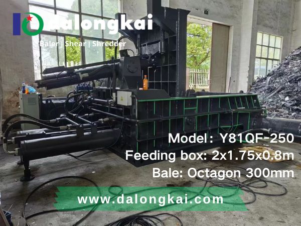 Dalongkai Y81QF-250 bundle press 